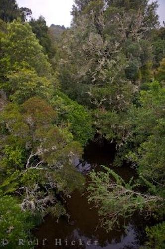 Photo: 
River Bush Pukaha Mount Bruce National Wildlife Centre NZ