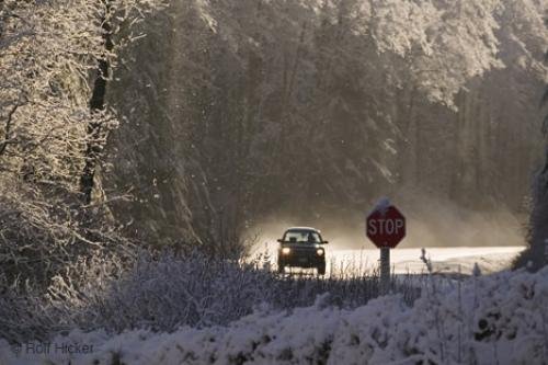 Photo: 
Road Signs Stop Winter