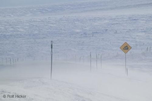 Photo: 
Road Signs Steep Hill Winter Storm