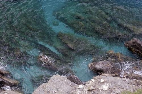 Photo: 
Rocky Park Shore
