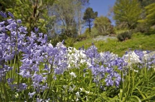 Photo: 
Ronning Garden BC