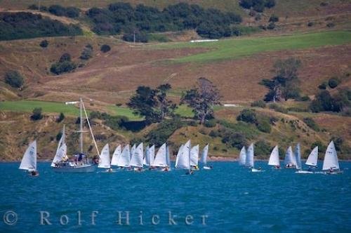 Photo: 
Sailboat Regatta Akaroa Harbour New Zealand