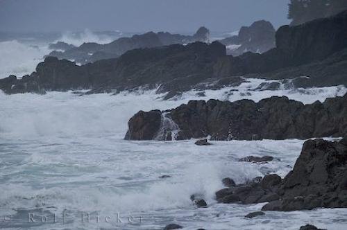 Photo: 
San Josef Bay Storm Watching