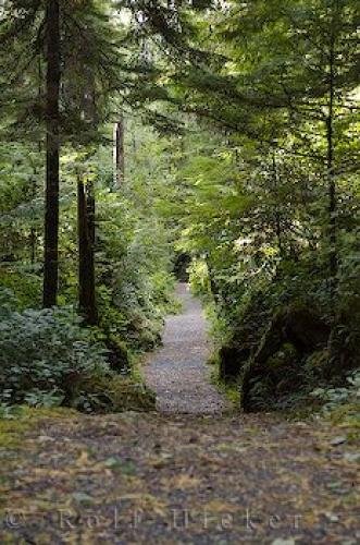 Photo: 
San Josef Bay Track