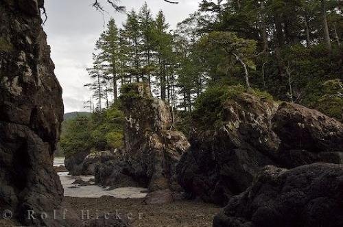 Photo: 
San Josef Bay West Coast