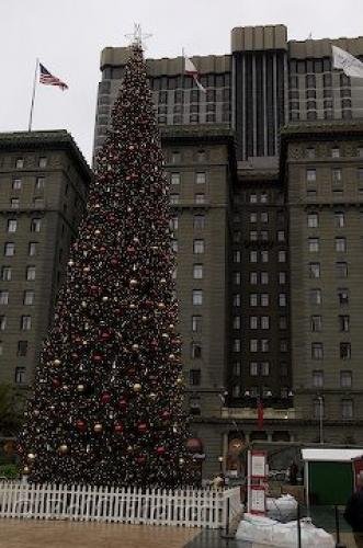 Photo: 
San Francisco California USA