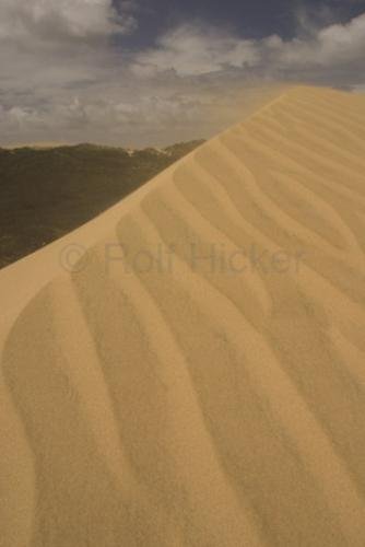 Photo: 
Sand Dune Formation Te Paki NZ