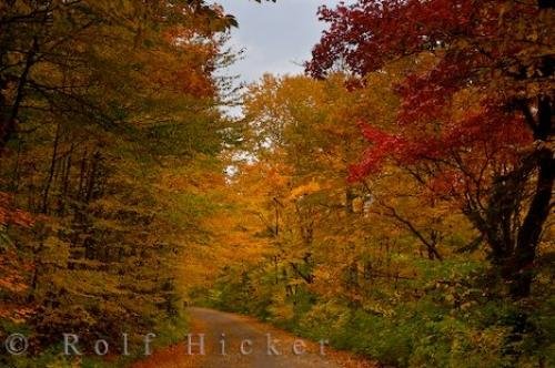 Photo: 
Scenic Road Picture Autumn Leaves