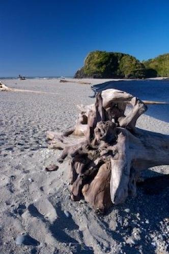 Photo: 
Ship Creek Driftwood South Island New Zealand