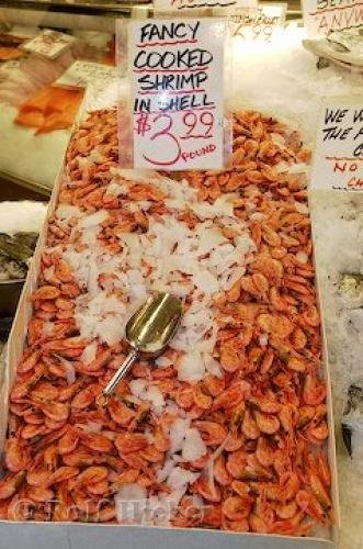 Photo: 
Shrimp Picture