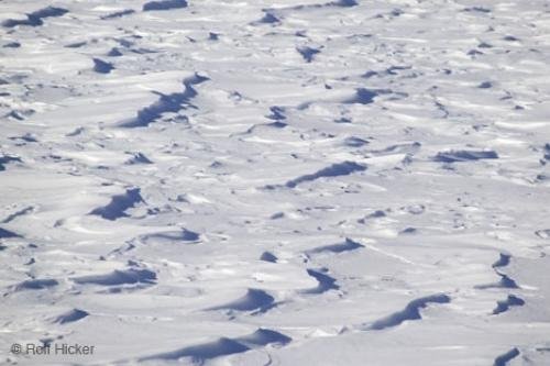 Photo: 
Snow Art