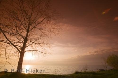 Photo: 
simcoe lake sunset