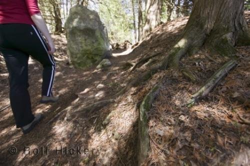 Photo: 
hiking vacation