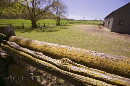 Photo: 
country life