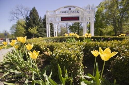 Photo: 
gage park