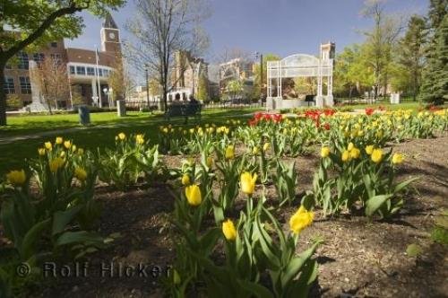 Photo: 
brampton city