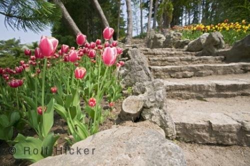 Photo: 
the rock garden