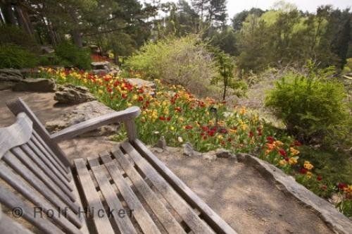 Photo: 
Royal Botanical Gardens Bench