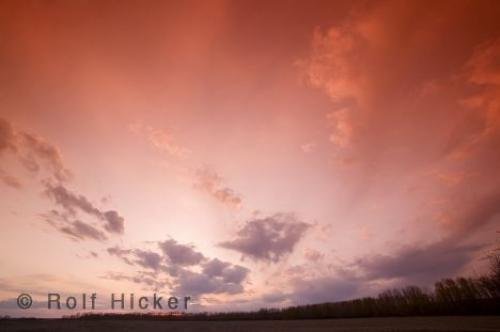 Photo: 
alberta sunset