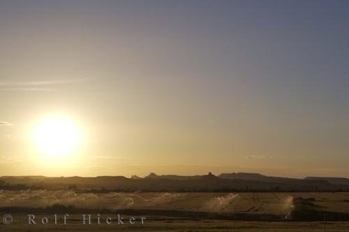 Photo: 
Sprinklers Irrigation