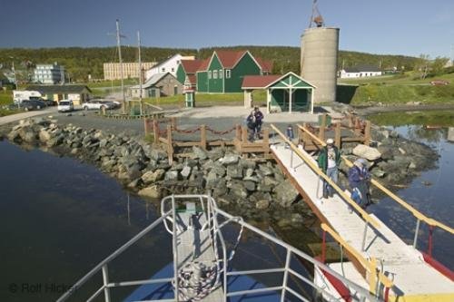 Photo of the check in office and dock for Northland Discovery Boat Tours<br />in the St Anthony Harbour, Newfoundland. Photo: 
St Anthony Harbour Newfoundland