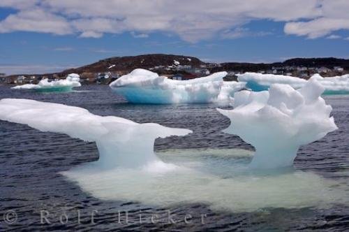 Photo: 
St Anthony Harbour Pack Ice