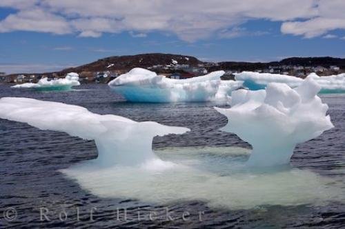 Photo: 
St Anthony Harbour Pack Ice