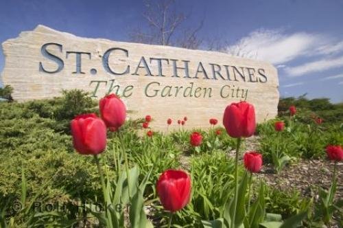 Photo: 
st catharines sign