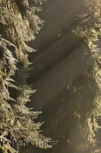 Photo: 
sun rays photos
