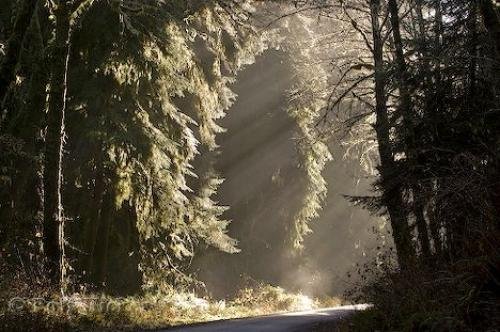 Photo: 
sun rays