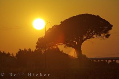 Photo of incredible hues created by a sunset in the Bouches Du Rhone region of the Provence, France. Photo: 
Sunset Bouches Du Rhone