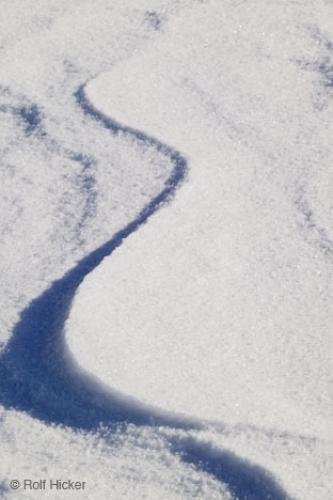 Photo: 
fine art photography Snow Ripples