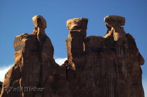 Photo: 
three gossips