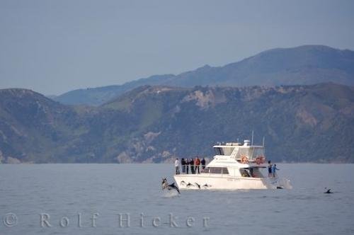 Photo: 
New Zealand Tour Companies