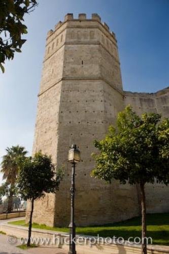 Photo: 
Tower Alcazar Jerez De La Frontera Cadiz Andalusia Spain