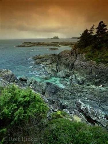 Photo: 
Travel Destination Tofino