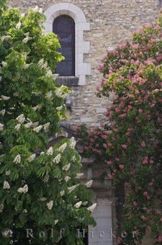 Photo: 
Tree Frame Historic Building Riez Provence