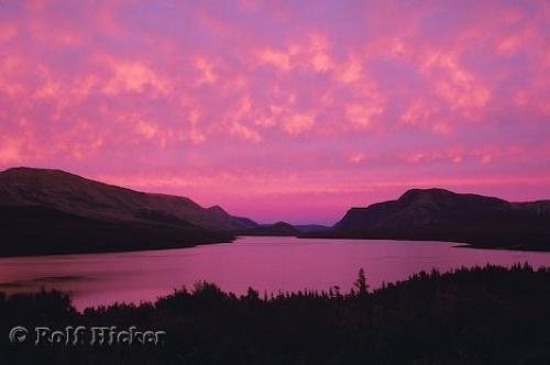 Photo: 
Trout River Pond