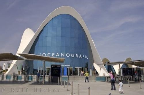 Photo: 
Valencia City Aquarium L Oceanografic