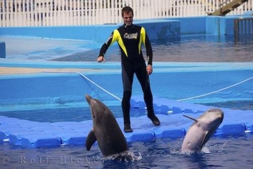 Photo: 
Valencia Spain Aquarium LOceanografic