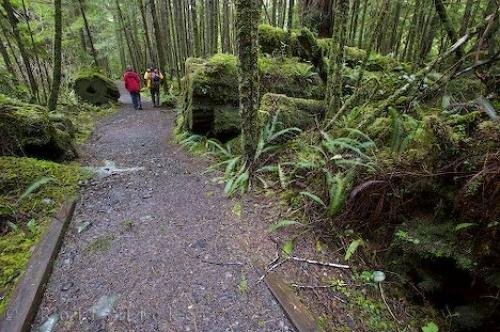 Photo: 
Vancouver Island Hiking