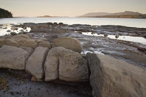 Photo: 
Vancouver Island Pics
