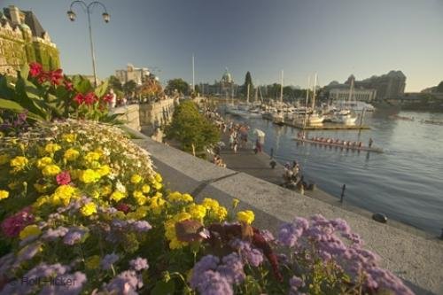 Photo of the Victoria Harbour on southern Vancouver Island, British Columbia, Canada. Photo: 
Victoria Harbour Flower Beds