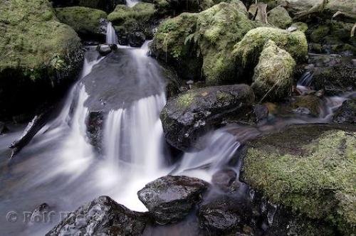 Photo: 
Water Facts