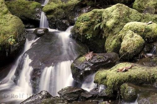 Photo: 
waterfall poster