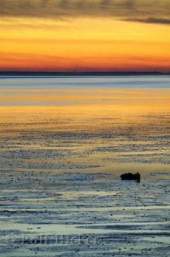Photo: 
West Coast Sunsets