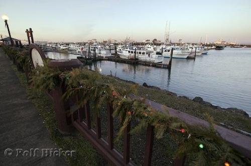 Photo: 
Westport Washington USA