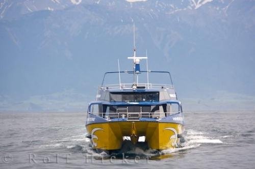 Photo: 
Whale Watch Kaikoura Tour Boat New Zealand