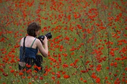 Photo: 
Wild Poppy Woman