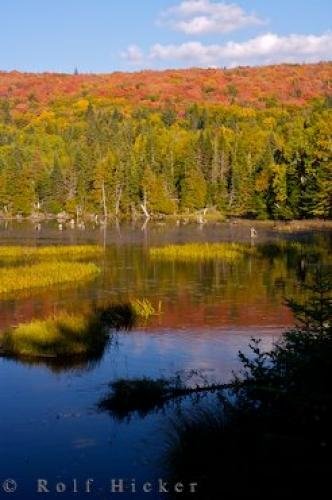 Photo: 
Wilderness Fall Scenery Picture Of Quebec